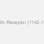 Insulin Receptor (1142-1153)